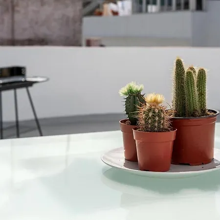 Casa Carmen - Centrico Con Terraza Privada